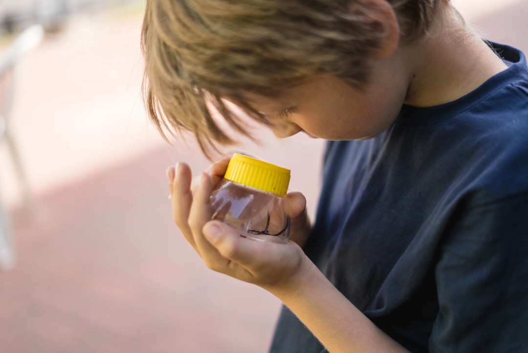 child looking closely at compost worm