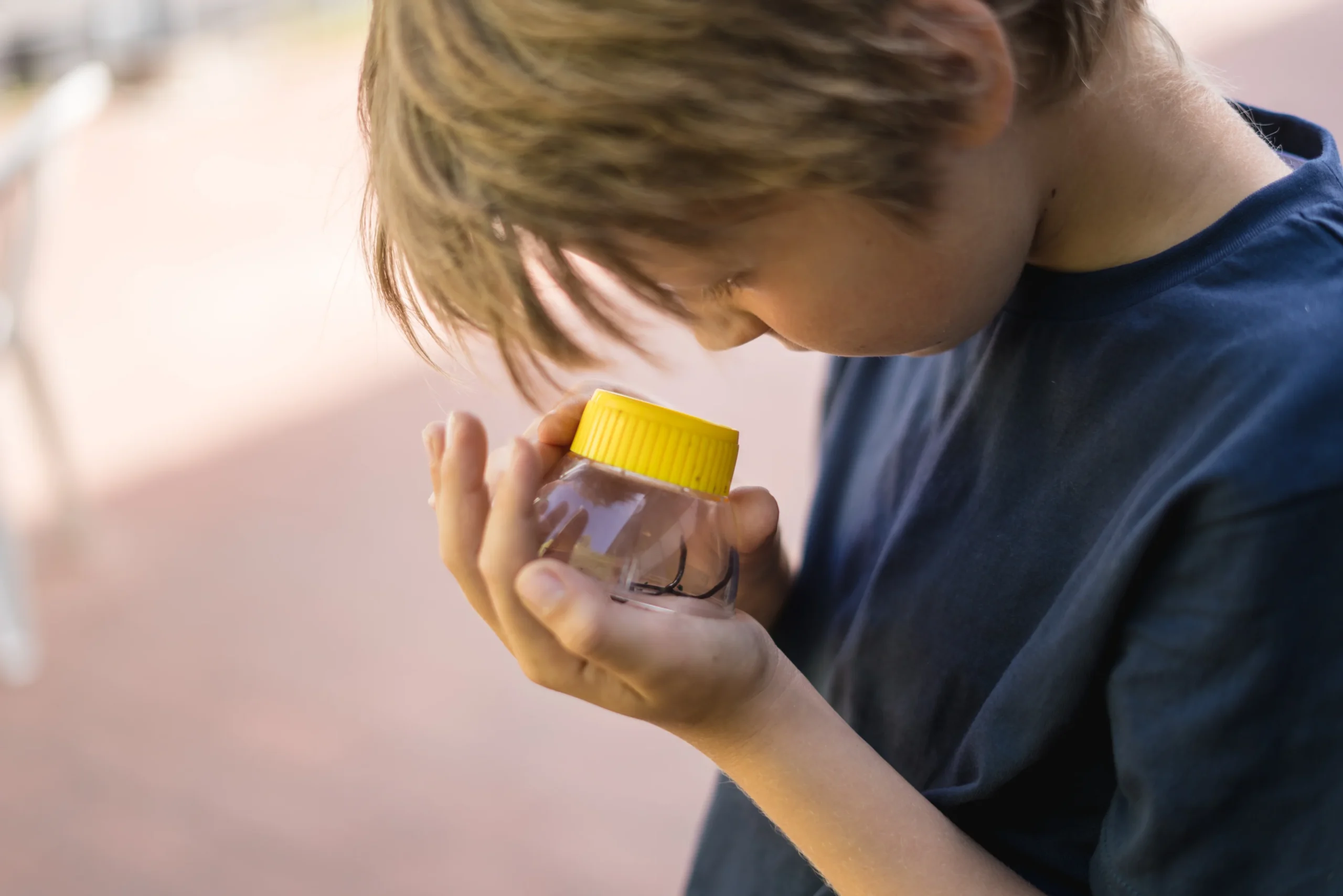 child looking closely at compost worm