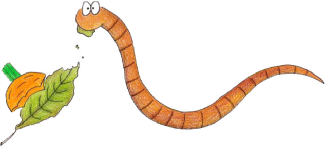 kompostimato haukkaa lehteä