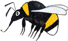 Kimalaisella on pitkä kieli